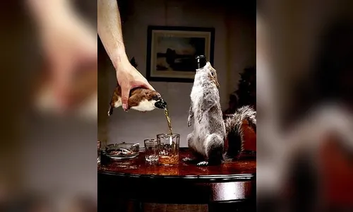 22 são hospitalizados por abuso de álcool em show