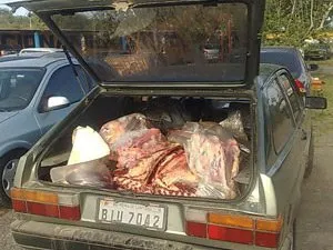 Carne estava em condições sanitárias consideradas péssimas na mala do veículo