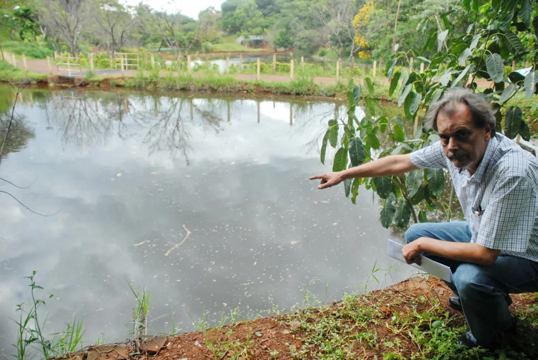 EM Arapongas, ‘Parque dos Pássaros’ abriga nascente do Ribeirão Campinho; área foi recuperada