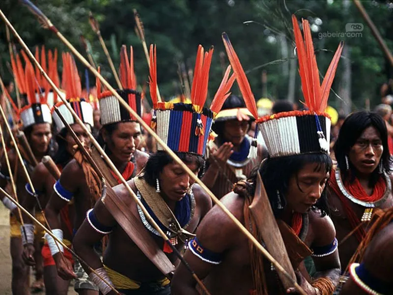 Evento mobiliza luta pela causa indígena no Paraná e no Mato Grosso