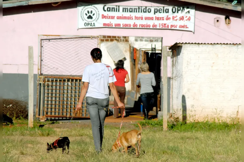   Voluntários conciliam suas rotinas para cuidar dos animais sem lar (Foto: Sérgio Rodrigo) 