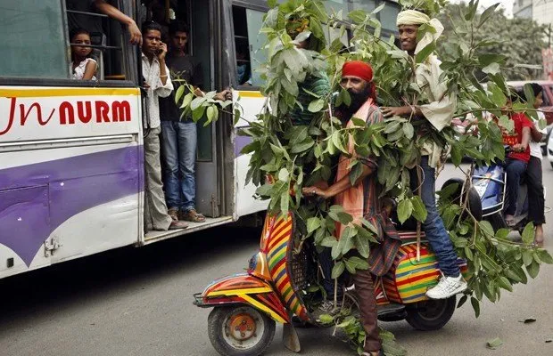 No Dia Mundial do Meio Ambiente ativistas se vestem de árvore em protesto