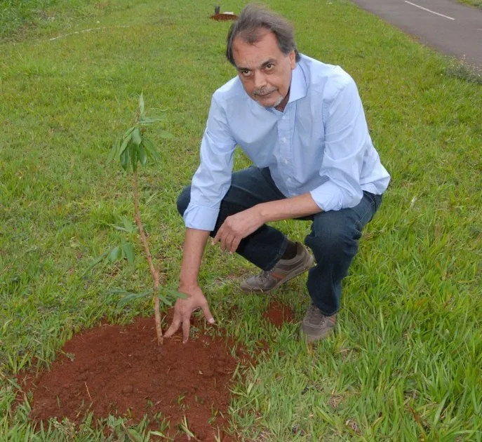 Arapongas inicia plano de arborização urbana