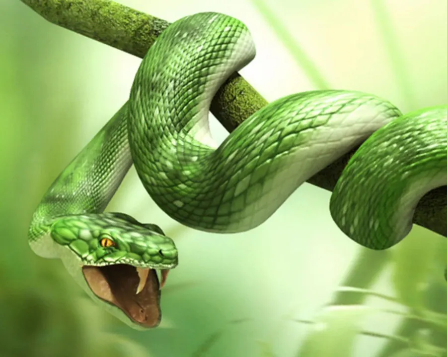  Símbolo da palavra inveja é representado por uma serpente.