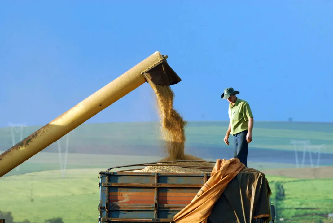 Produção de grãos aumenta para 209,5 milhões de toneladas -  Foto: Arquivo/Jonas Oliveira/ANPr Foto: Jonas Oliveira 