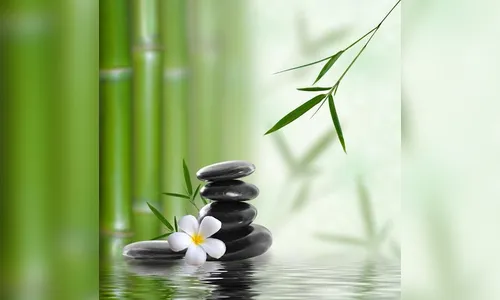 O que é o Feng Shui?