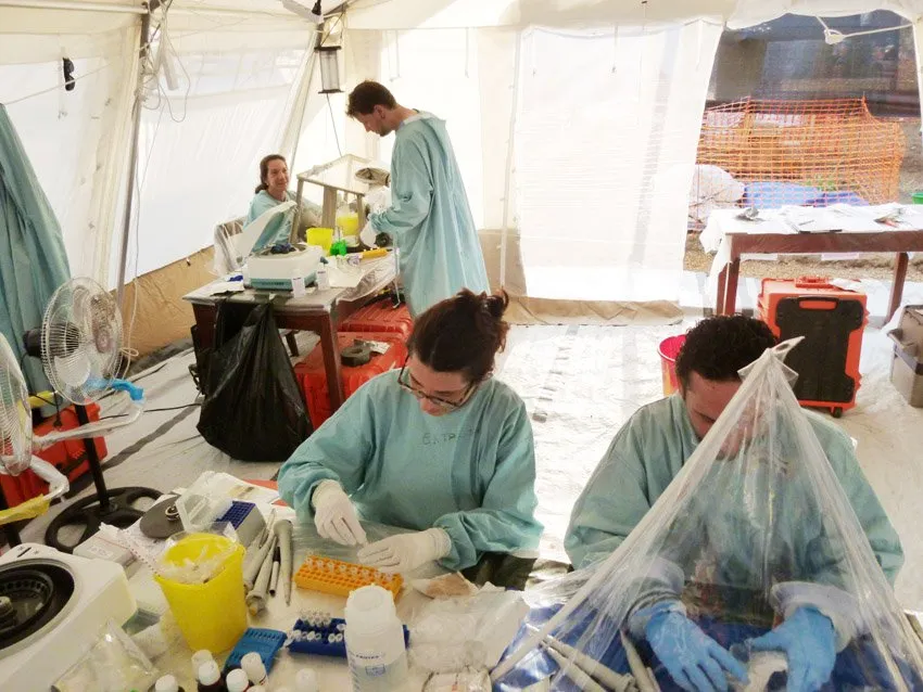 OMS quer acelerar tratamento experimental contra ebola