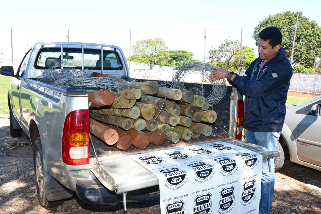 Investigador Pará faz verificação de madeira apreendida