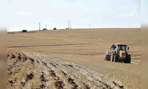 Após chuvas recentes, plantio da soja chega a 12% da área projetada na região