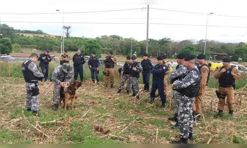 Canil integrado de Arapongas faz curso de rastreamento de pessoas