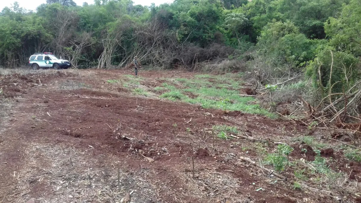 A primeira denúncia tem relação com destruição de vegetação nativa.. Foto: Blog do Roque