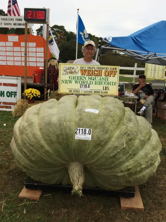 O legume plantado por Joe Jutras pesa 960 quilos. Foto: Divulgação
