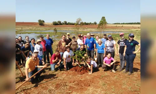 Pastoral do Meio Ambiente de planta cerca de 700 árvores
