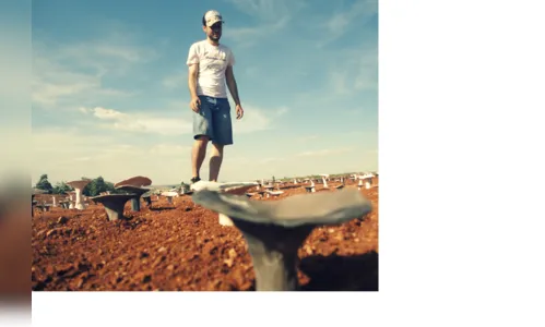 Artista plástico apucaranense cria cogumelos de cerâmica 