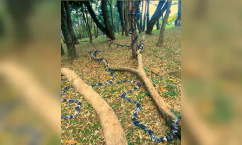 
							Artista plástico apucaranense cria cogumelos de cerâmica 
						
						