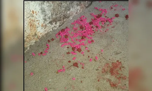 Morador joga veneno na calçada para matar animais abandonados