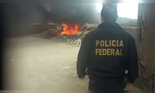 PF incinera mais de duas toneladas de drogas no Paraná