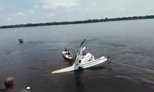 Avião do Greenpeace cai no AM e mulher sueca morre 