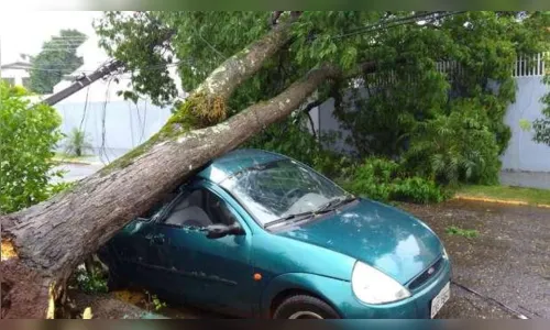 
							Chuva de granizo com vento é registrada em Jandaia do Sul
						
						