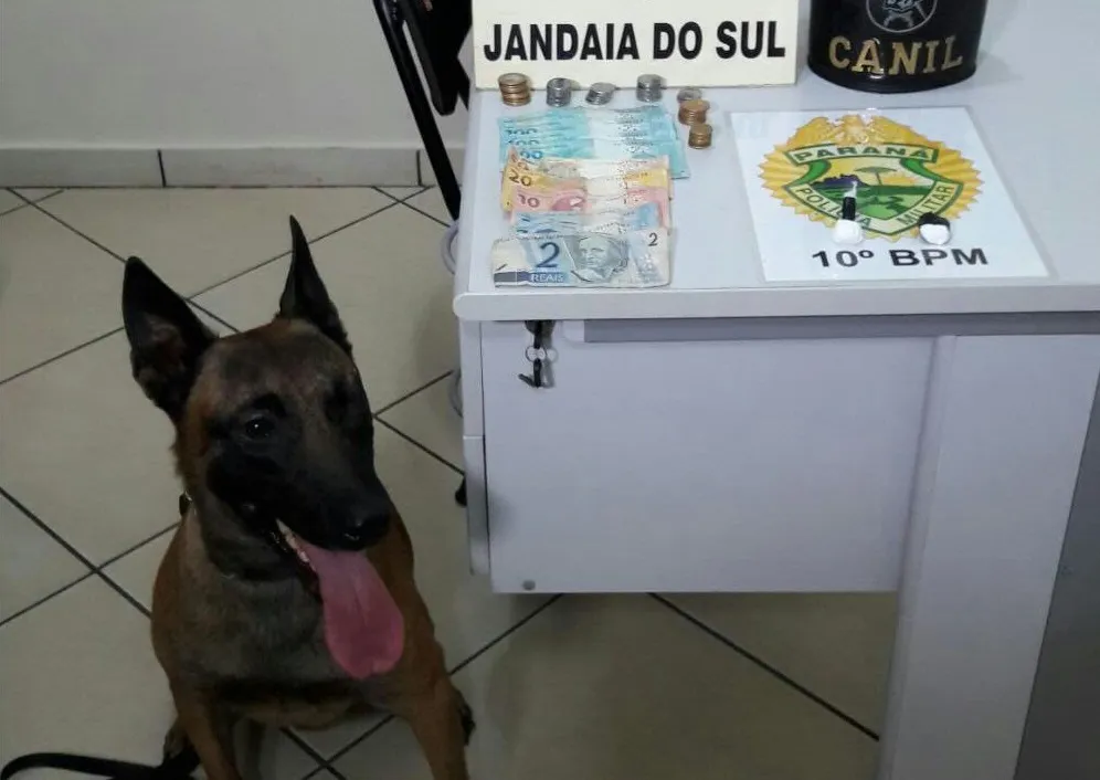 Droga foi encontrada por cão de faro do Canil da Polícia Militar. (FOTO - PM)