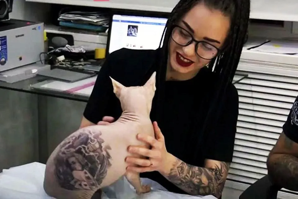 Artista russo causa polëmica ao tatuar gato que não possui pelos​