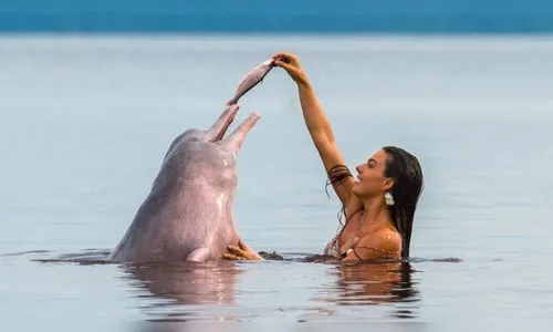 Atores de ‘A força do querer’ fazem balanço da novela