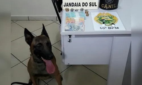 Quatro são presos por tráfico de drogas em ação da PM com apoio do Canil