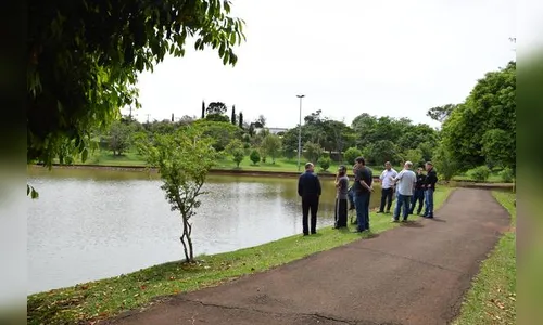 Ivaiporã investiga morte de peixes no lago da Vila Residencial de Furnas