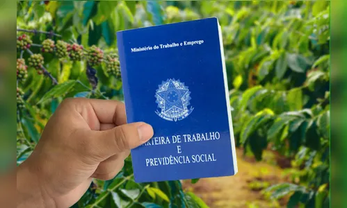Contratações recuaram no agronegócio em setembro 