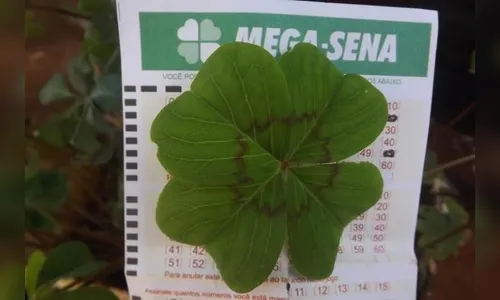 Ninguém acerta os números da Mega-Sena e prêmio acumula em R$ 16 milhões