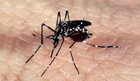 Semana de combate ao Aedes aegypti mobiliza mais de 210 mil instituições