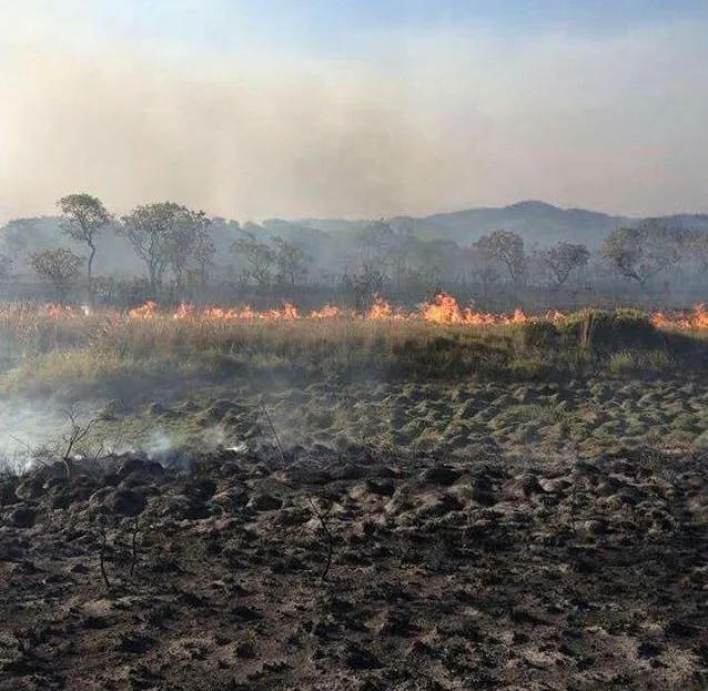 PRF auxilia combate a incêndio no Parque Nacional da Chapada dos Veadeiros