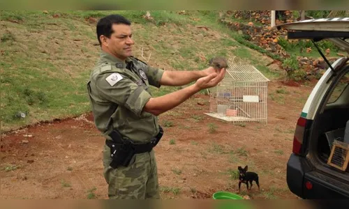 Polícia liberta pássaros que eram mantidos em cativeiro
