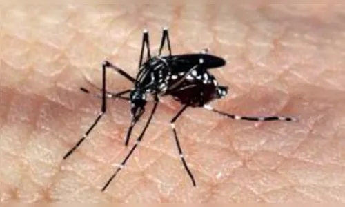 Semana de combate ao Aedes aegypti mobiliza mais de 210 mil instituições