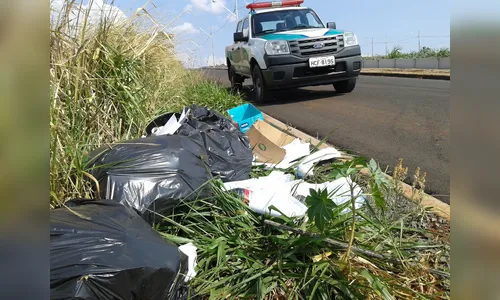 Defesa Ambiental de Arapongas atendeu 72 ocorrência em setembro 