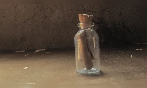 Menina joga garrafa com mensagem no oceano e recebe resposta 29 anos depois