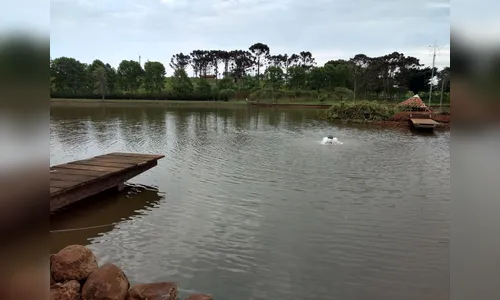 Prefeitura monitora e realiza ações para evitar mortandade de peixes no lago de Furnas