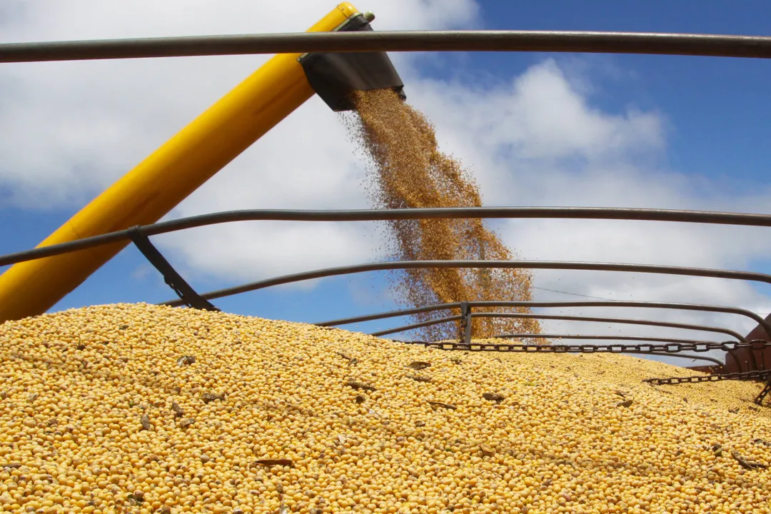 Paraná vai colher 20 milhões de toneladas de grãos