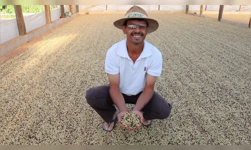 Cafés especiais do Norte Pioneiro paranaense são campeões no principal concurso de qualidade do Brasil