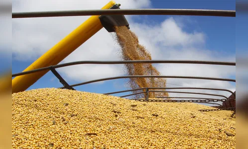 Paraná vai colher 20 milhões de toneladas de grãos