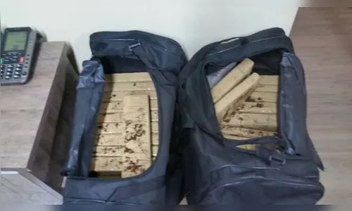 PRE e PM apreendem 24 kg de maconha em Rolândia