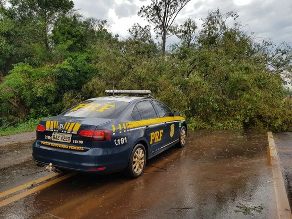 As árvores derrubadas pelo vento bloquearam seis pontos da BR-369 em Ubiratã entre os kms 465 e 445 (Foto: PRF/Divulgação)