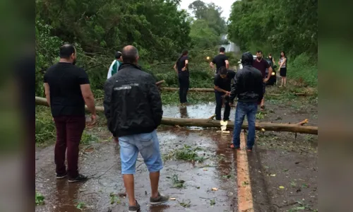 
							Temporal quebra 34 postes e deixa dezenas de imóveis destelhados
						
						