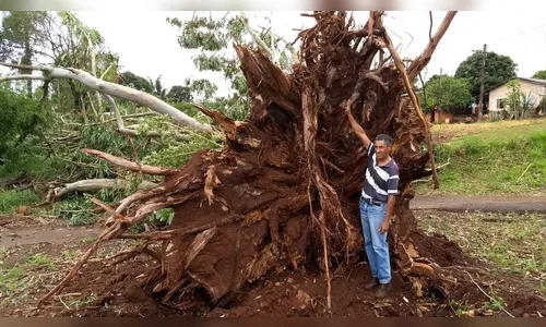 Seis cidades do norte do Paraná registram falta de água