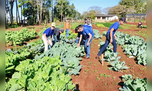 Inscrições para cursos profissionalizantes da rede estadual encerram quarta 