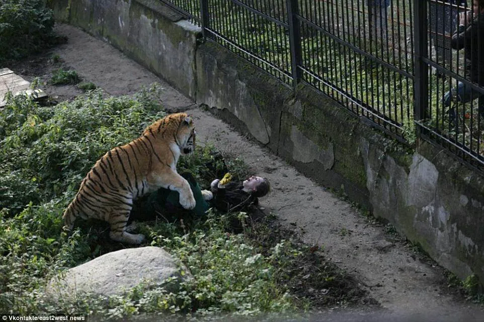 Visitantes horrorizados observaram como o animal atacou a mulher no zoológico​ - Foto: Vkontahte/east12west news