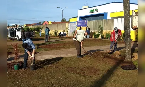 Prefeitura desenvolve projeto de paisagismo em Arapongas