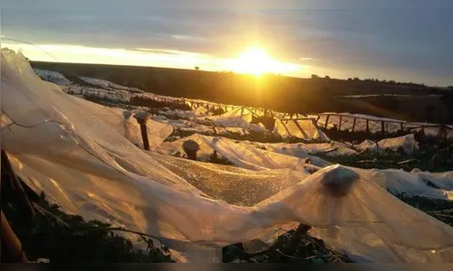 Prejuízos com temporal chegam a R$ 3,5 milhões em Marilândia do Sul, aponta Defesa Civil 