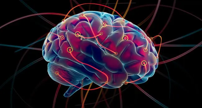 Estudo publicado por docente da UTFPR/Apucarana descreve linguagem matemática do processo biológico do cérebro​ - Imagem ilustrativa/Valores astrômicos