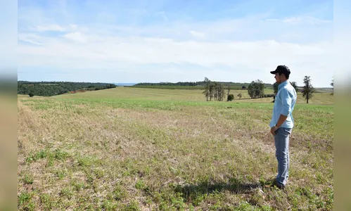 Chuvas começam a preocupar agricultores